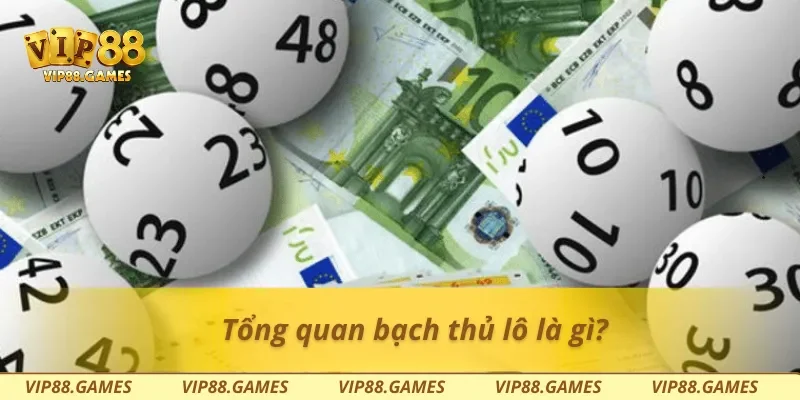 Tổng quan bạch thủ lô là gì?